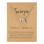 🆕Scorpio Zodiac Astrology Pendant Necklace Silver Photo 0