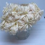 Vintage Pale Pink Flower Hat Pink Photo 1