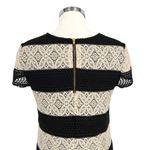Maggy London Lace Striped Shift Short Sleeve Dress Black Ivory Cream Size 10 Photo 5