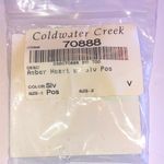 Coldwater Creek Silver Amber Heart Earrings Photo 1