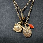 Lucky Brand  Owl Necklace Photo 1