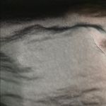 Kelly Renee Elegant Black Dress with Ruffle Sleeves Size M Photo 3