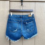 American Eagle Womens Shorts Blue Denim Tomgirl Shortie Button Fly Size 2 Photo 2