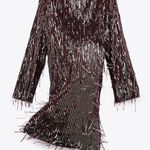ZARA NWT Festive Burgundy Fringed Sequin Dress Photo 8