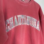 Vintage Oarsman 913 Chautauqua Sweatshirt Made in USA – Size Large Tennessee Pink Photo 5