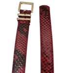 Talbots  Red & Black Snakeskin Print Belt with Gold Adjustable Buckle Photo 1