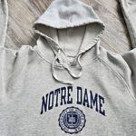 Champion Sweatshirt Vintage Jr XL Notre Dame Fighting Irish Hoodie Gray Academia Photo 0