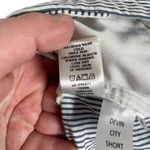 Ann Taylor  Devin City Shorts in Blue/White Pinstripe Seersucker Size 6 Photo 10