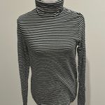 J.Crew Striped Tissue Turtkeneck Sz L Photo 0