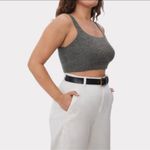 Everlane The Cozy Gray Stretch Cropped Wool Blend Tank Top Photo 2