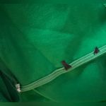 Elegant Green One Photo 4