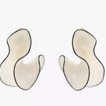 ZARA  resin fan earrings Photo 1