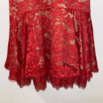 Anthropologie NWT $465 x V. Chapman Naomi Lace Corset Flounce-Hem Midi Dress 10 Photo 9