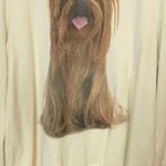 Wildfox Yorkie yellow jumper sz M Photo 1