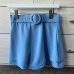 Lavender Brown Shorts Photo 1