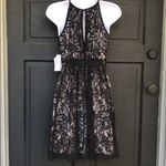 The Clothing Company The Clothing Co. Lace Dress Studded NWT‎ Photo 3