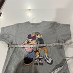 Teddy Fresh  x Looney Tunes Bad Girls Graphic Gray Short Sleeve Boxy Tee Size‎ M Photo 5