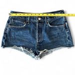 AGOLDE Parker Organic Cotton Denim Jean Shorts Button Fly Cut Off 28 Photo 2