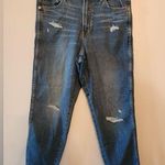 Arizona Jeans Arizona Jean Co. Highest Rise Curvy Mom Jeans Size 8 Photo 0