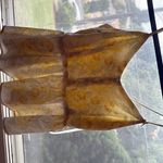 Flower baby doll top Yellow Photo 2