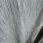 Soft Surroundings Gray Viscose Cowl Neck Gauze Fabric Lightweight Tunic Size M Photo 2