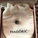 Pandora Paisley Detail Silver Bead Charm Bracelet Photo 2