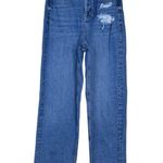 American Eagle Women's 10 Long Button Fly High Rise Loose Jean Photo 0