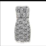 Diane Von Furstenberg  Lace Dress Photo 4