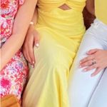 Petal and Pup  Dress Midi Photo 0