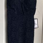 Crystal Doll NWT  black Dress Photo 1
