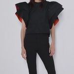 ZARA Ruffle Sleeve Blouse Photo 0