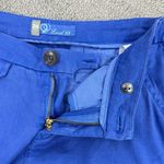 Anthropologie Level 99  Linen Blend Flare Leg Chino Pants Blue Size 26 Trouser Photo 9