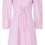 Tibi  Chalky Drape Corset‎ Dress Size 2 Photo 0