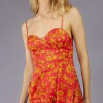Urban Outfitters Orion Red Floral Bustier Mini Dress Photo 0