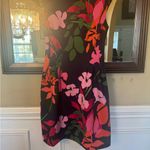 Vince Camuto  Floral Mini Dress - Black and Pink Photo 4