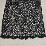 White House | Black Market Black Lace Scalloped Edge Straight Pencil Skirt Size 8 Photo 4