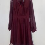 Modcloth  Burgundy Swiss Dot Chiffon Sheer Sleeve Dress Neckbow Size 2 Photo 3