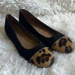 Aerosoles  Bechincolor Black Suede Ballet Flat Leopard Calf Hair Toe Size 7.5 ♣️ Photo 0