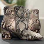 Chinese Laundry  Women's Daria Ankle Boot Photo 1