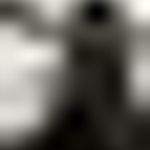 Lulus Black  Skater Dress Photo 2