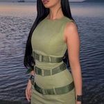 ZARA  dress mini belts Olive Green Belted Dress Photo 0