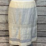 TSE Silk Blend Skirt Off White/Blue-8 Photo 0