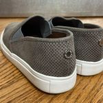 Steve Madden | Zavayy Light Grey Slip On Sneakers Size 6.5 Photo 4