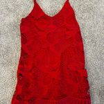 EXPRESS Red Lace Dress Photo 0