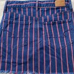 American Eagle Outfitters Festival Skirt Photo 2