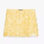 ZARA Sequin Mini Skirt Photo 0