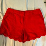 Cynthia Rowley  scalloped hem size 8 shorts Photo 0