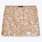 ZARA  sequin skirt Photo 0
