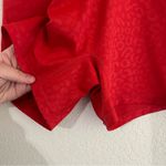 Buffbunny Collection Buffbunny // Rebel Bike Shorts in Red Leopard Photo 2