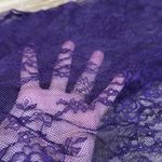 Purple Lace Long Sleeve Crop Top and Bralette Set Photo 2